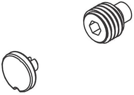 Brizo Litze RP90417SL Set Screw and Button