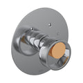 Polished Chrome/Satin Gold (IWPCG)
