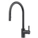 Franke Eos Neo Single Handle Pull-Down Kitchen Faucet - Industrial Black