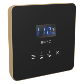 Brizo Other: Mystix Square Steam Control