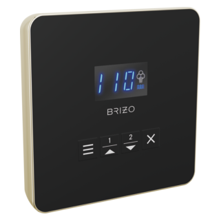 Brizo Other: Mystix Square Steam Control