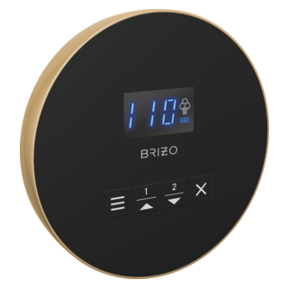 Brizo Other: Mystix Round Steam Control