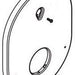 Moen 200809 M-Core Escutcheon Kit, Bn