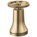 Champagne Bronze
