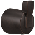 Venetian Bronze