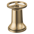 Champagne Bronze