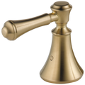 Champagne Bronze