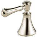 Polished Nickel