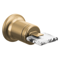 Luxe Gold / Clear Acrylic