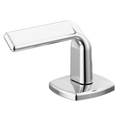 Chrome