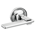 Chrome