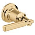 Polished Gold