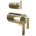 Polished Nickel