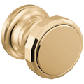 Polished Gold