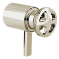 Polished Nickel