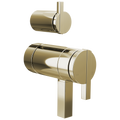 Polished Nickel