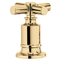 Polished Gold