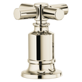 Polished Nickel