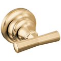 Polished Gold