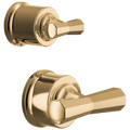 Polished Gold