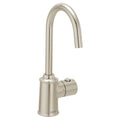 Polished Nickel