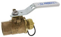 NIBCO T585-80-LF-HC_3/4 3/4" Threaded x Hose Cap Full Port Ball Valve (Lead Free)