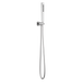 Brizo Levoir: Handshower