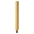 Polished Gold