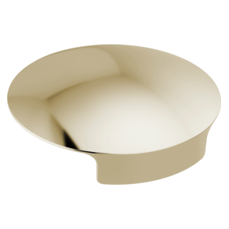 Delta Other: Glass Rinser Cover