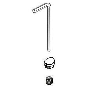 Brizo Allaria RP102055BNX Set Screw and Button Cover
