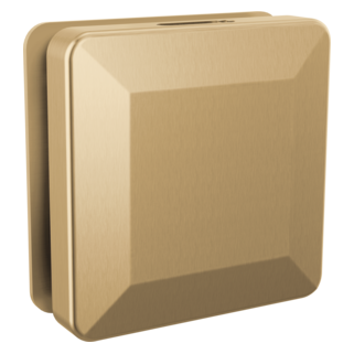 Delta Universal Showering Components: Square Steam Head