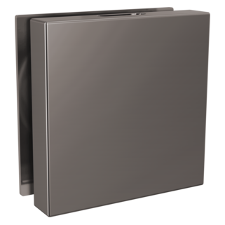 Brizo Other: Mystix Square Steam Head