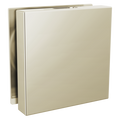 Polished Nickel