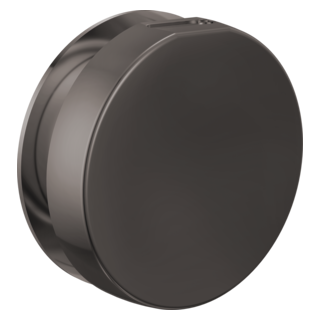 Brizo Other: Mystix Round Steam Head