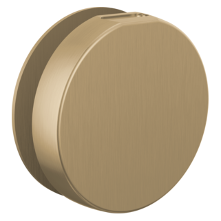 Brizo Other: Mystix Round Steam Head