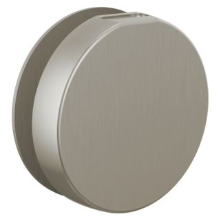 Brizo Other: Mystix Round Steam Head