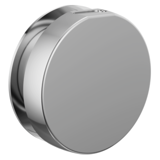 Brizo Other: Mystix Round Steam Head