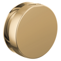 Polished Gold