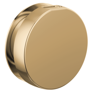 Brizo Other: Mystix Round Steam Head