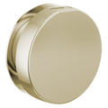Polished Nickel