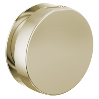Brizo Other: Mystix Round Steam Head