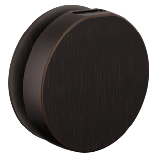 Brizo Other: Mystix Round Steam Head