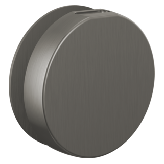 Brizo Other: Mystix Round Steam Head