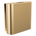 Polished Gold