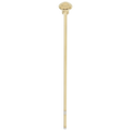 Polished Brass