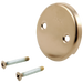 Delta RP31556 Overflow Plate and Screws - No Trip Lever