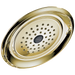 Delta RP48686 Single-Setting Raincan Shower Head