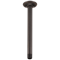 Venetian Bronze