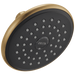 Single-Setting Raincan Shower Head