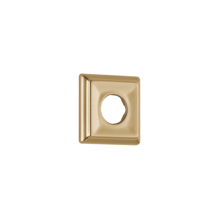 Flange - Shower